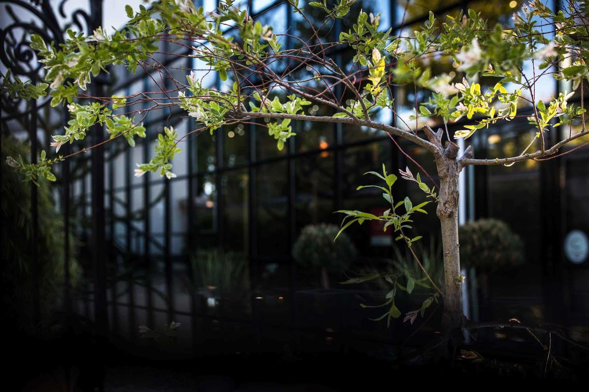 Maison Decoret - Relais & Chateaux Vichy Exteriör bild